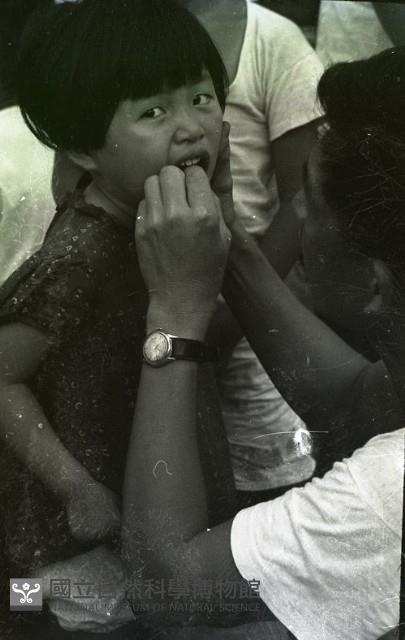 1950至2006年臺灣常民生活藏品圖，第1張