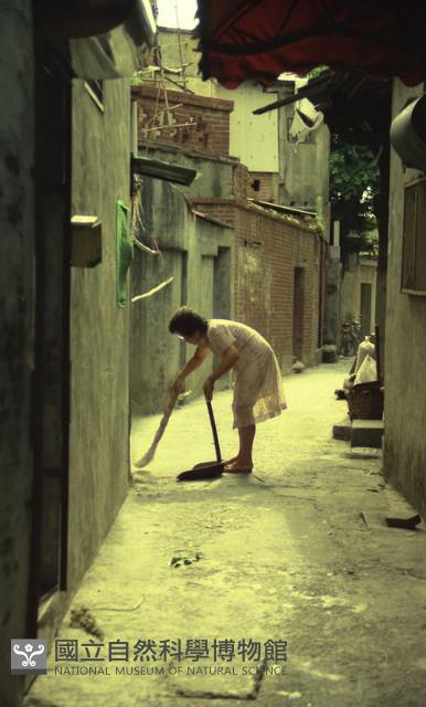 1950至2006年臺灣常民生活藏品圖，第1張