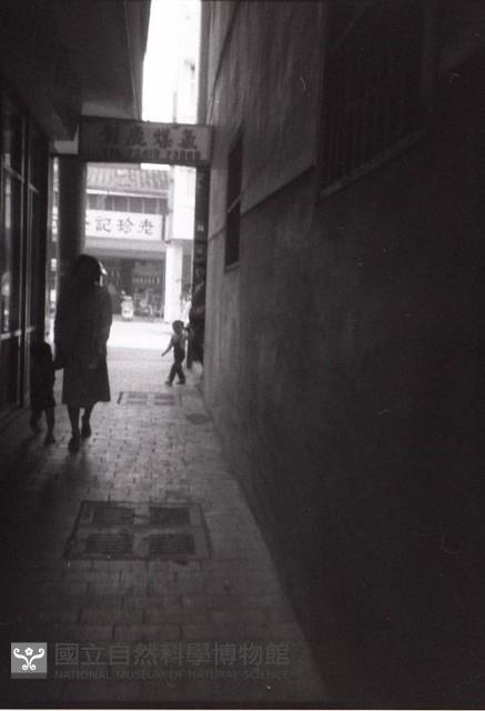 1950至2006年臺灣常民生活藏品圖，第1張