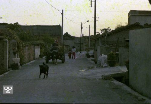 1950至2006年臺灣常民生活藏品圖，第1張