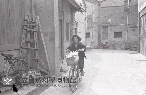 1950至2006年臺灣常民生活藏品圖，第1張