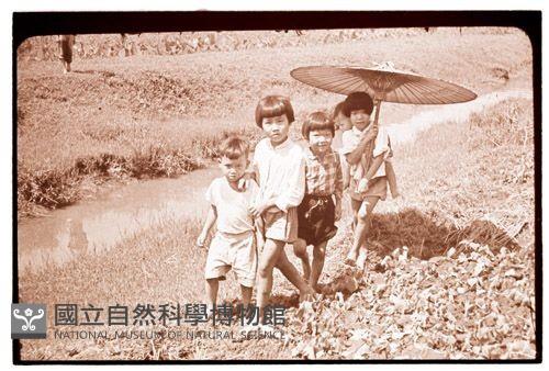 1950至2006年臺灣常民生活藏品圖，第1張