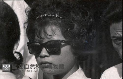 1950至2006年臺灣常民生活藏品圖，第1張