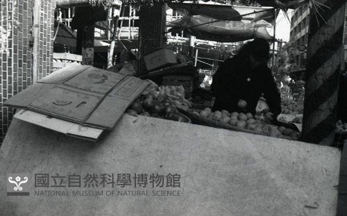 1950至2006年臺灣常民生活藏品圖，第1張