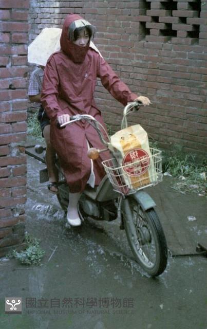 1950至2006年臺灣常民生活藏品圖，第1張