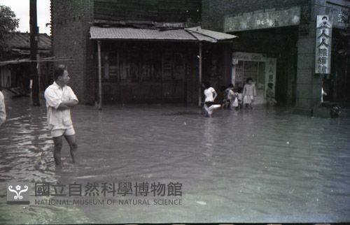 1950至2006年臺灣常民生活藏品圖，第1張