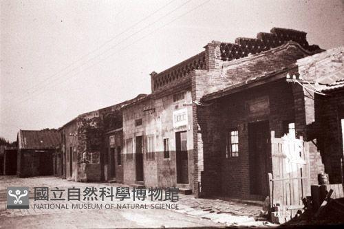 1950至2006年臺灣常民生活藏品圖，第1張