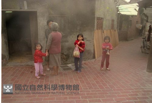 1950至2006年臺灣常民生活藏品圖，第1張