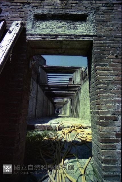 1950至2006年臺灣常民生活藏品圖，第1張