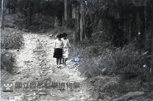 1950至2006年臺灣常民生活藏品圖，第1張