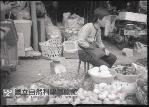 1950至2006年臺灣常民生活藏品圖，第1張