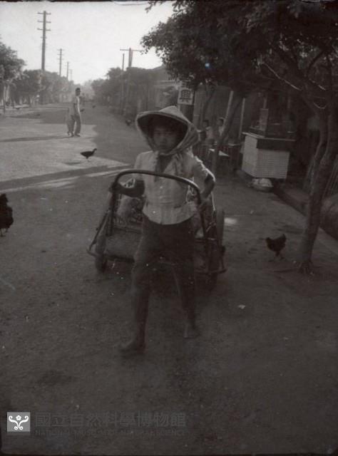 1950至2006年臺灣常民生活藏品圖，第1張