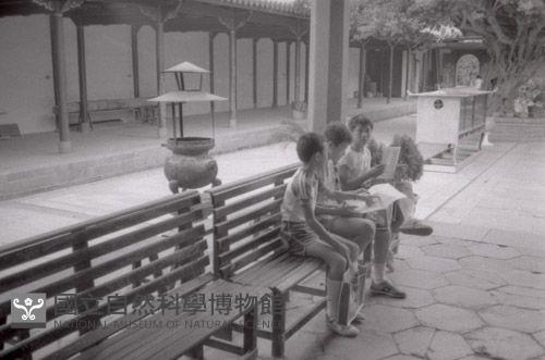 1950至2006年臺灣常民生活藏品圖，第1張