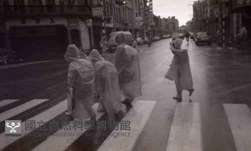 1950至2006年臺灣常民生活藏品圖，第1張