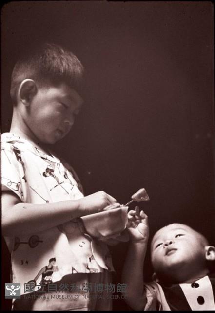 1950至2006年臺灣常民生活藏品圖，第1張