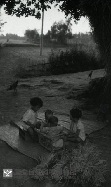 1950至2006年臺灣常民生活藏品圖，第1張
