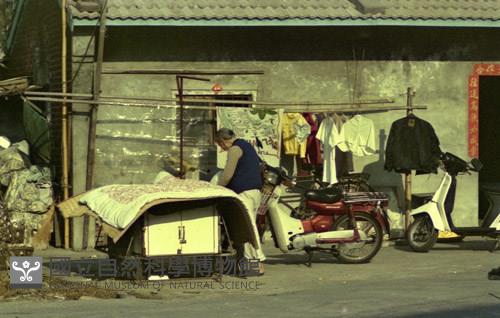 1950至2006年臺灣常民生活藏品圖，第1張