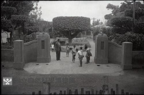 1950至2006年臺灣常民生活藏品圖，第1張