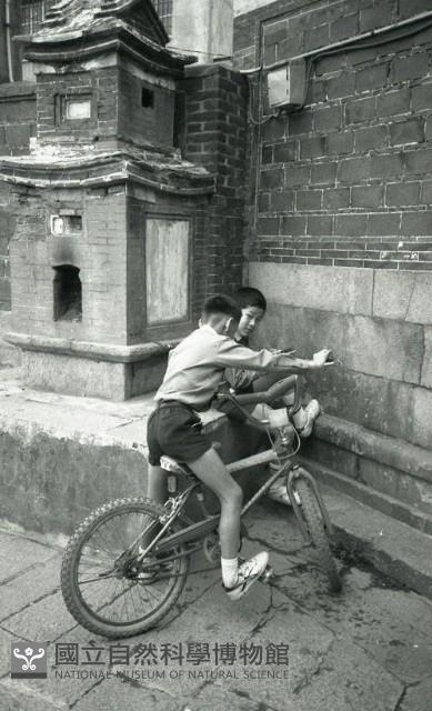 1950至2006年臺灣常民生活藏品圖，第1張