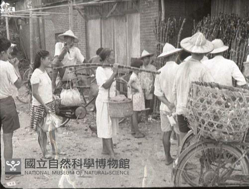 1950至2006年臺灣常民生活藏品圖，第1張