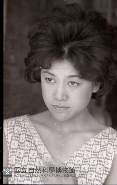 1950至2006年臺灣常民生活 藏品圖，第1張