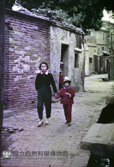 1950至2006年臺灣常民生活藏品圖，第1張