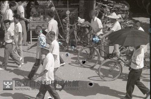 1950至2006年臺灣常民生活藏品圖，第1張