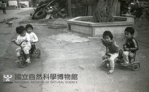 1950至2006年臺灣常民生活藏品圖，第1張