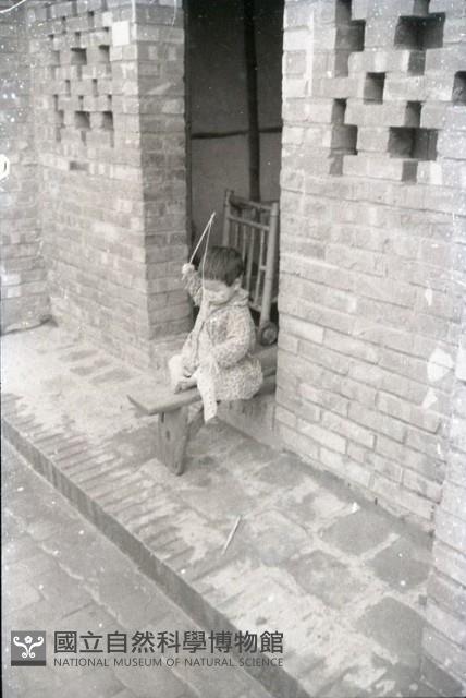 1950至2006年臺灣常民生活藏品圖，第1張