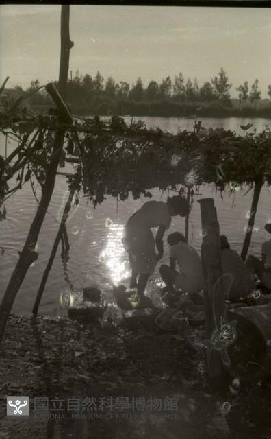 1950至2006年臺灣常民生活藏品圖，第1張