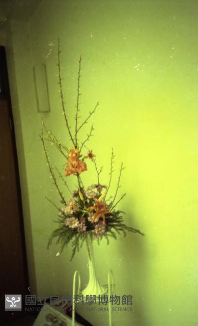 1950至2006年臺灣常民生活藏品圖，第1張