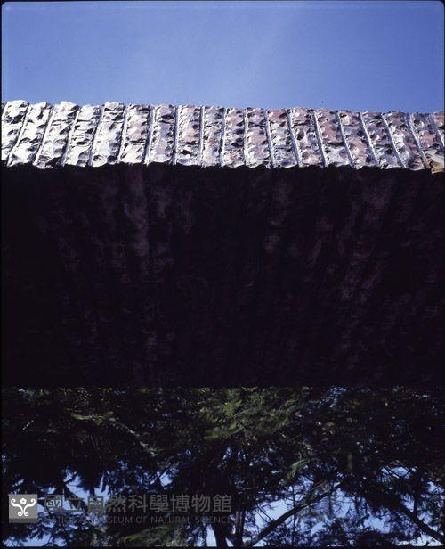 1950至2006年臺灣常民生活藏品圖，第1張