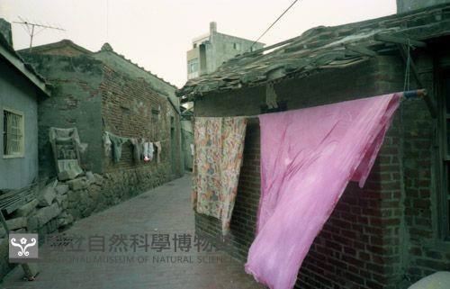 1950至2006年臺灣常民生活藏品圖，第1張