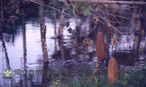 Accession Number:MP2007014018 Collection Image