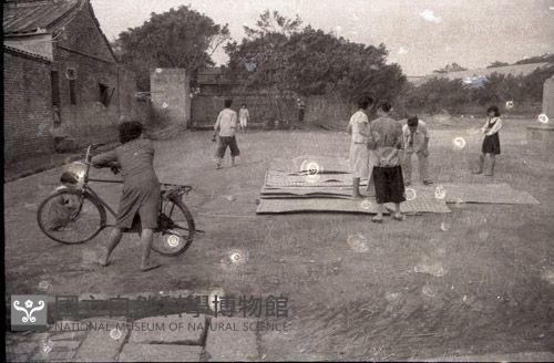 1950至2006年臺灣常民生活藏品圖，第1張