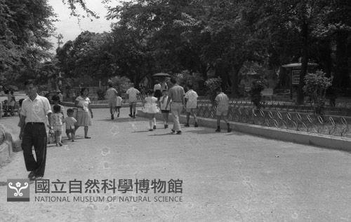 1950至2006年臺灣常民生活藏品圖，第1張