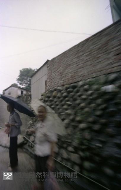 1950至2006年臺灣常民生活藏品圖，第1張
