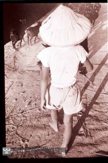 1950至2006年臺灣常民生活藏品圖，第1張