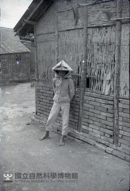 1950至2006年臺灣常民生活藏品圖，第1張