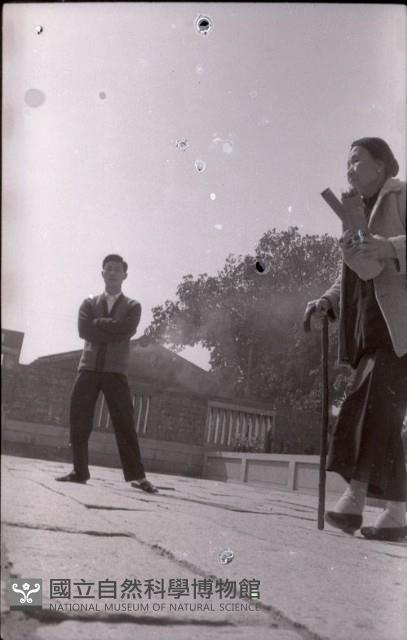1950至2006年臺灣常民生活藏品圖，第1張
