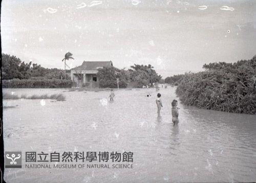 1950至2006年臺灣常民生活藏品圖，第1張