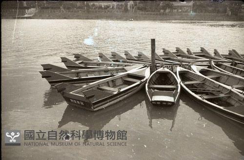 1950至2006年臺灣常民生活藏品圖，第1張