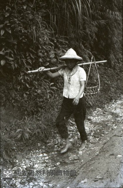 1950至2006年臺灣常民生活藏品圖，第1張