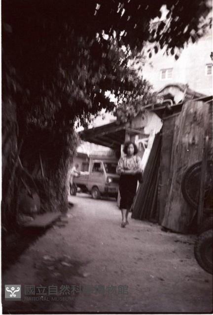 1950至2006年臺灣常民生活藏品圖，第1張