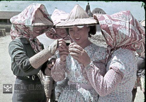 〈喜悅〉（1950至2006年臺灣常民生活）藏品圖，第1張