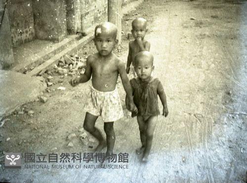1950至2006年臺灣常民生活藏品圖，第1張