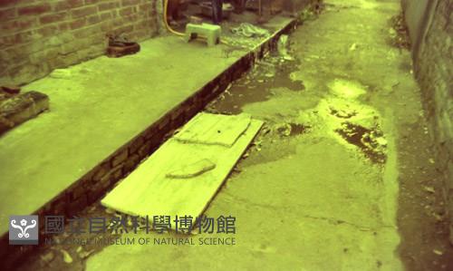 1950至2006年臺灣常民生活藏品圖，第1張