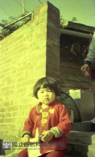 1950至2006年臺灣常民生活藏品圖，第1張