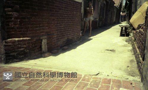 1950至2006年臺灣常民生活藏品圖，第1張