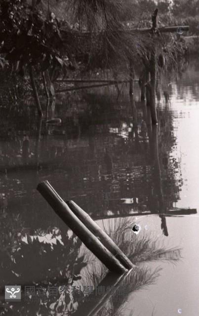 1950至2006年臺灣常民生活 藏品圖，第1張